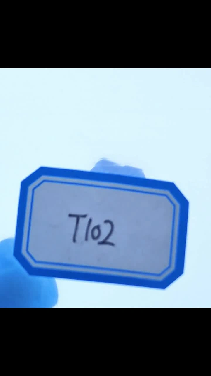 T102Kjellbery